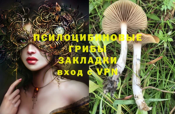 амф Нязепетровск