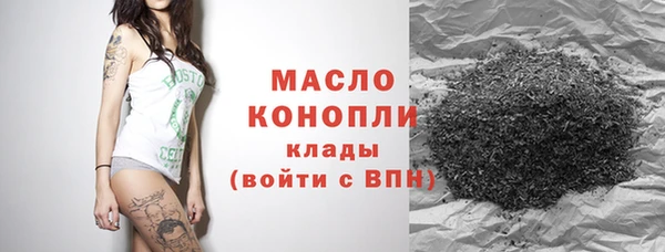 apvp Белая Холуница