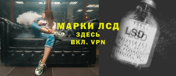 спиды Новодвинск