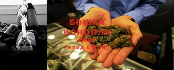 бошки Новозыбков