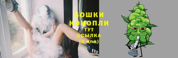 амф Нязепетровск