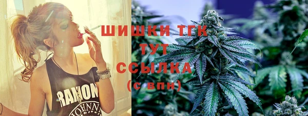 спиды Новодвинск