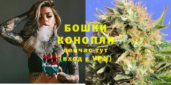 apvp Белая Холуница