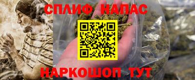 твердый Моздок
