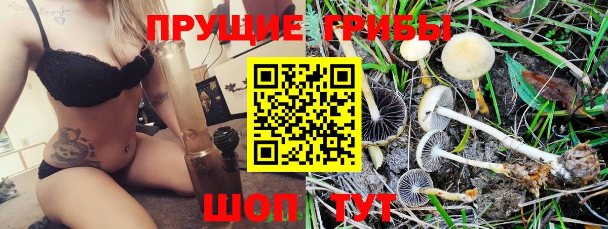 Псилоцибиновые грибы Psilocybe Алапаевск